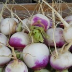 Rabioles - Turnips